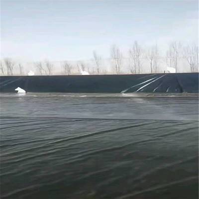 土工膜在蝦池建設中的應用與價格分析